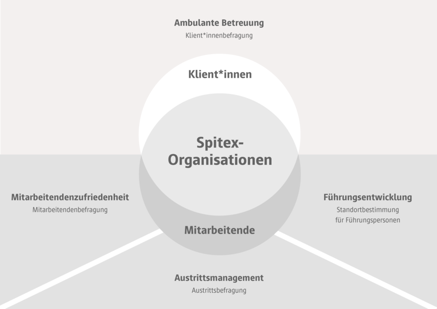 Diagramm Spitex-Organisationen